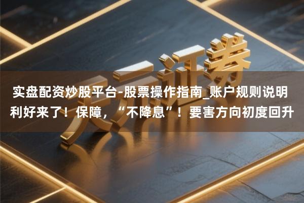 实盘配资炒股平台-股票操作指南_账户规则说明 利好来了！保障，“不降息”！要害方向初度回升
